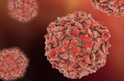 Use The POLIO VIRUS To Prolong The Life Of Patients With A Type Of Brain Cancer