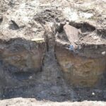 THEY FIND TWO RENAISSANCE WINE BARRELS, FULL OF FOSSILIZED DATES