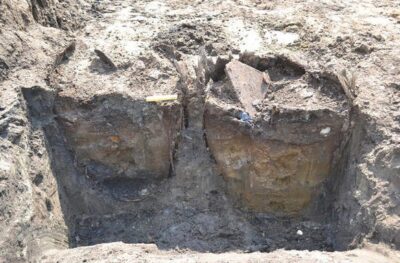 THEY FIND TWO RENAISSANCE WINE BARRELS, FULL OF FOSSILIZED DATES