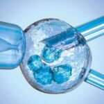 Japan Will Allow Genetic Editing In Human Embryos