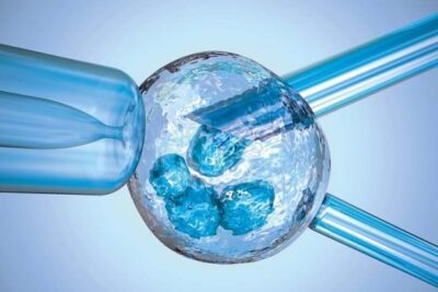 Japan Will Allow Genetic Editing In Human Embryos