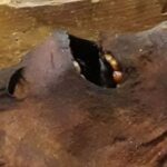 3 Mummies With Breathtaking Stories. And One With Passport