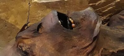 3 Mummies With Breathtaking Stories. And One With Passport