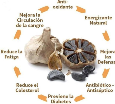 Conoce Los Impresionantes Beneficios Del Ajo Negro